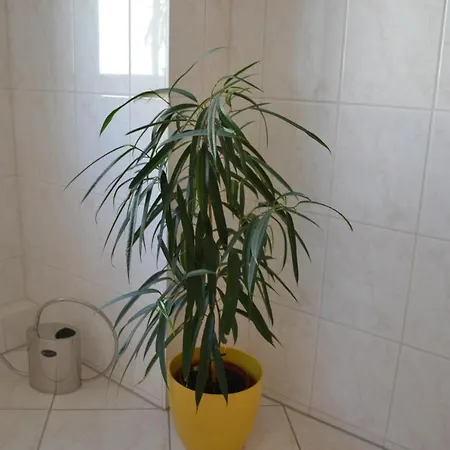 Aa-apartment -7 Fuer Geschaeftsreisende - Zu Hause 4*