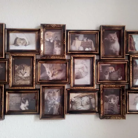 Maison d'hôtes Aa-apartment -7 Fuer Geschaeftsreisende - Zu Hause Chemnitz