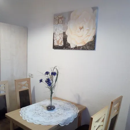 Aa-apartment -7 Fuer Geschaeftsreisende - Zu Hause Chemnitz