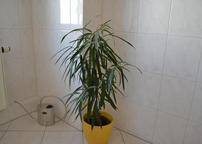 Aa-apartment -7 Fuer Geschaeftsreisende - Zu Hause 4*