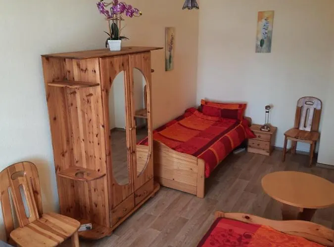 Aa-apartment -7 Fuer Geschaeftsreisende - Zu Hause 4* Chemnitz (Saská Kamenice)