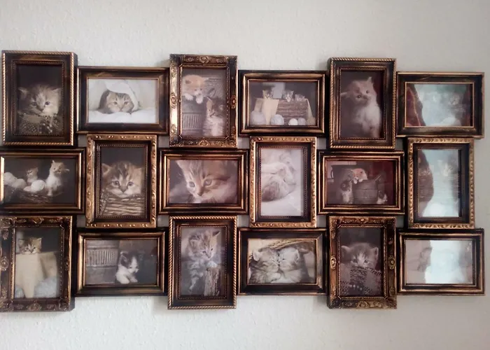 Pensjonat Aa-apartment -7 Fuer Geschaeftsreisende - Zu Hause Chemnitz